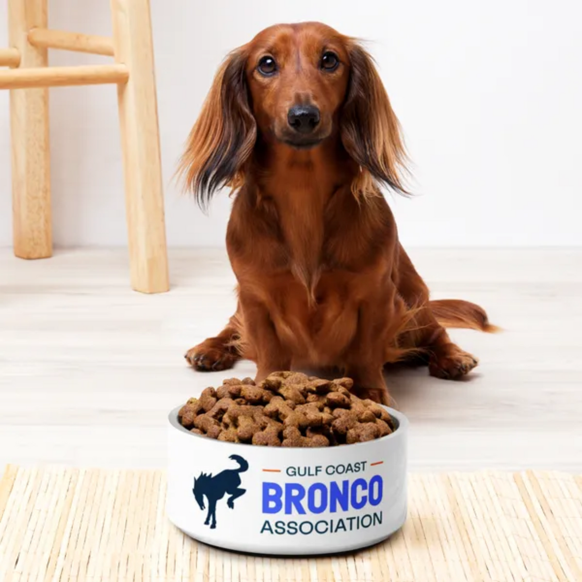 Gulf Coast Bronco Association Dog Bowl