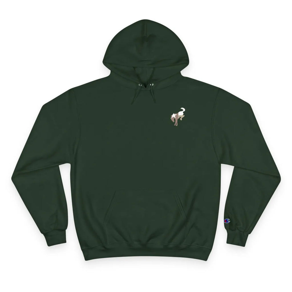 Texas Bronco Sport (Land scape collection)