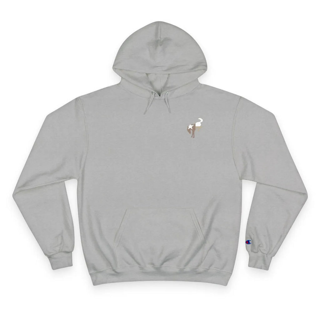 Texas Bronco Sport (Land scape collection)