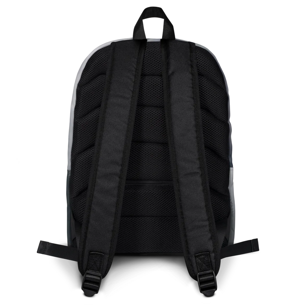 Alaska Broncos backpack