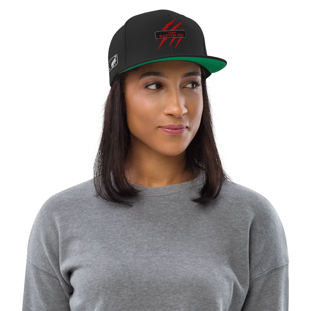 Team Raptor Rex Snapbacks
