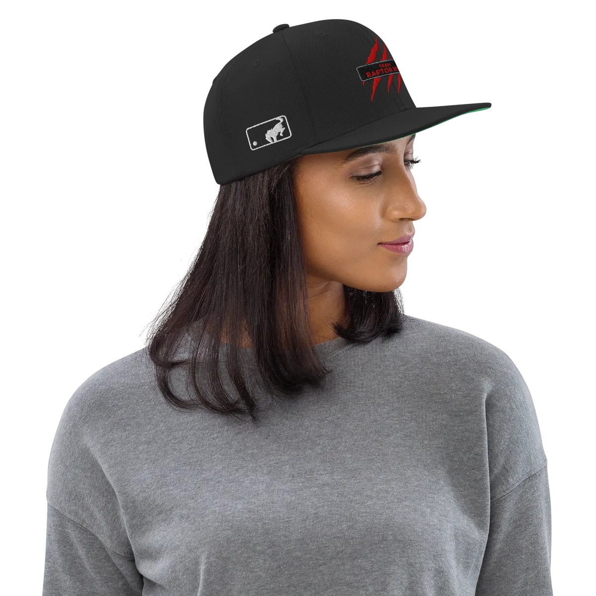 Team Raptor Rex Snapbacks